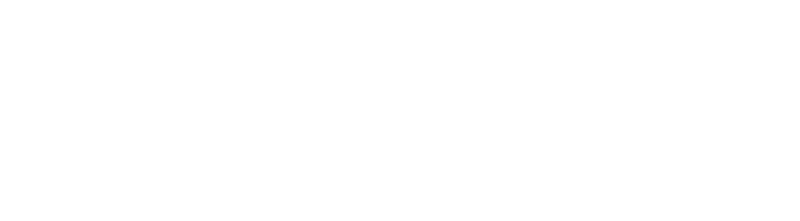 Dijital 361